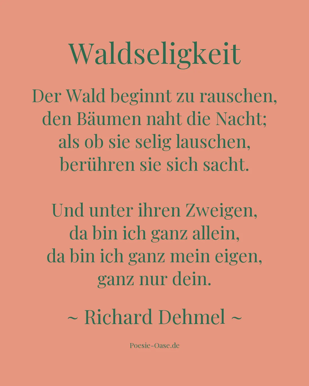 Illustration zu Waldseligkeit