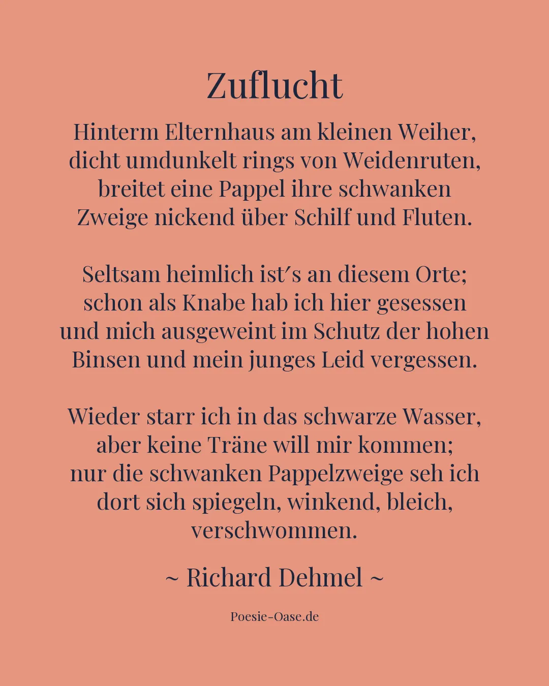 Illustration zu Zuflucht