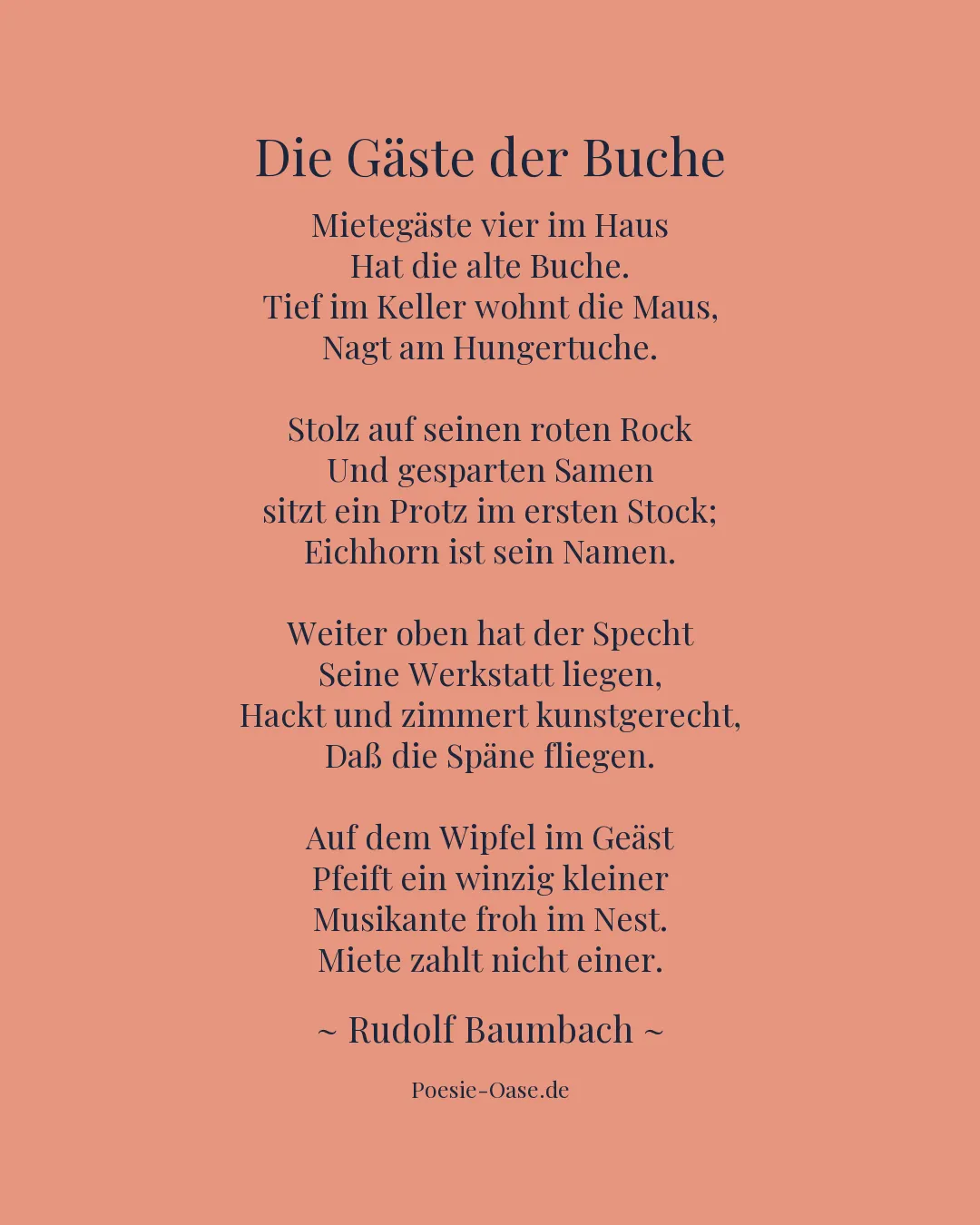 Illustration zu Die Gäste der Buche