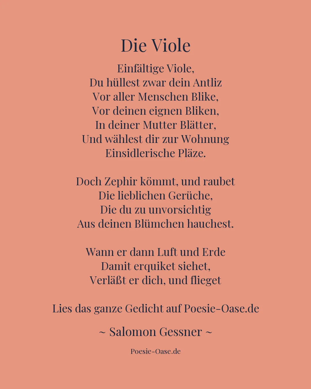 Illustration zu Die Viole