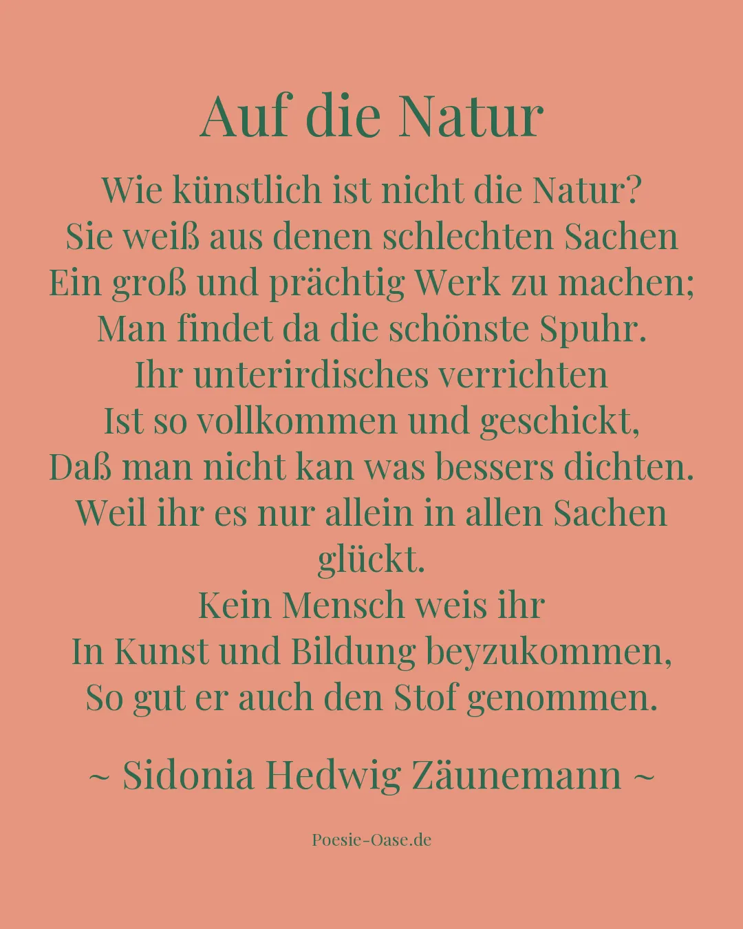 Illustration zu Auf die Natur