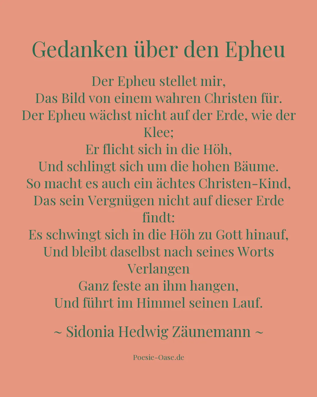Illustration zu Gedanken über den Epheu
