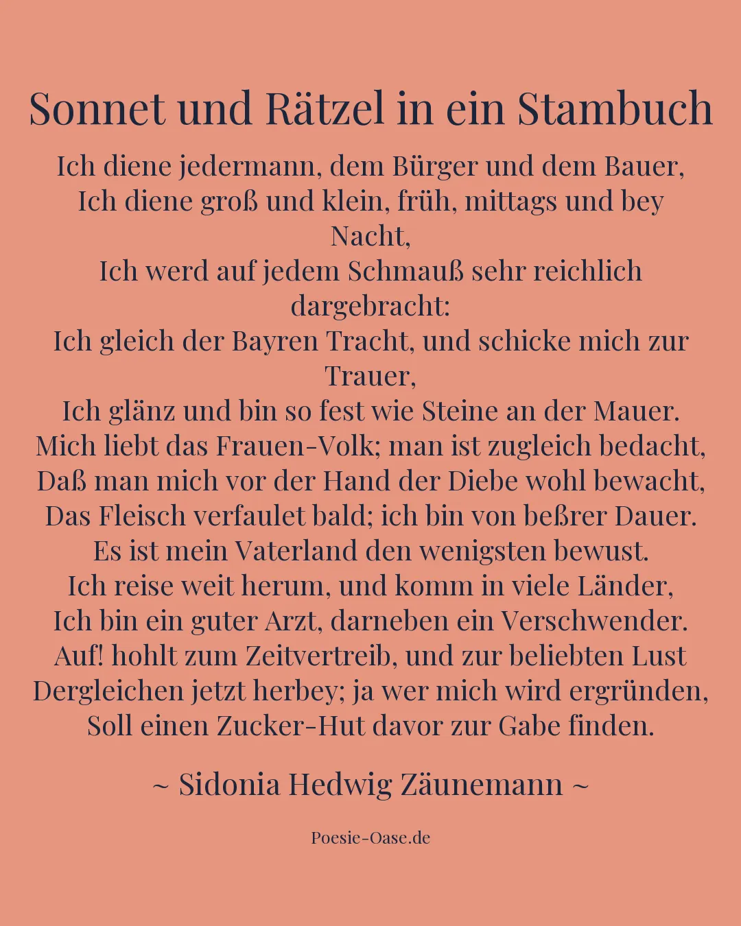 Illustration zu Sonnet und Rätzel in ein Stambuch