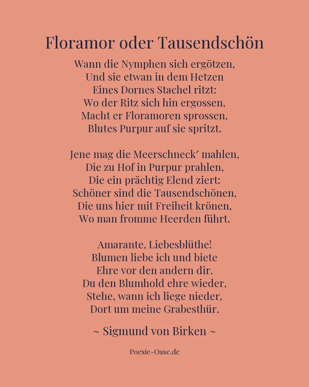 Illustration zu Floramor oder Tausendschön