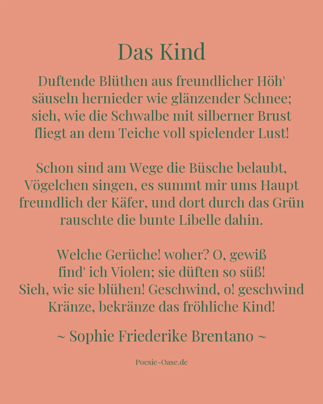 Illustration zu Das Kind