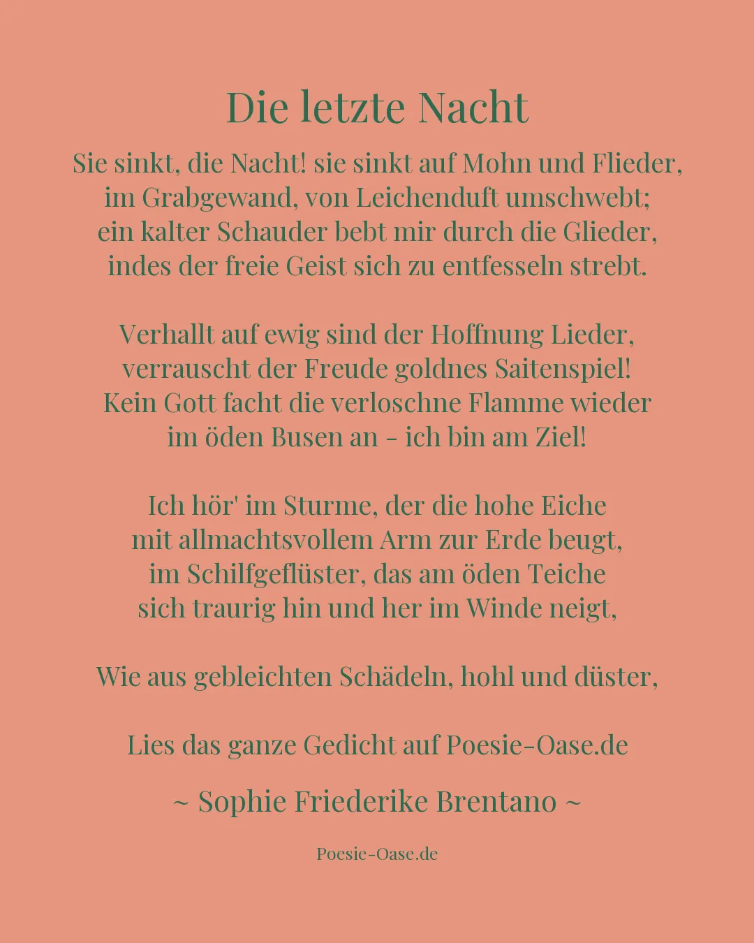 Illustration zu Die letzte Nacht
