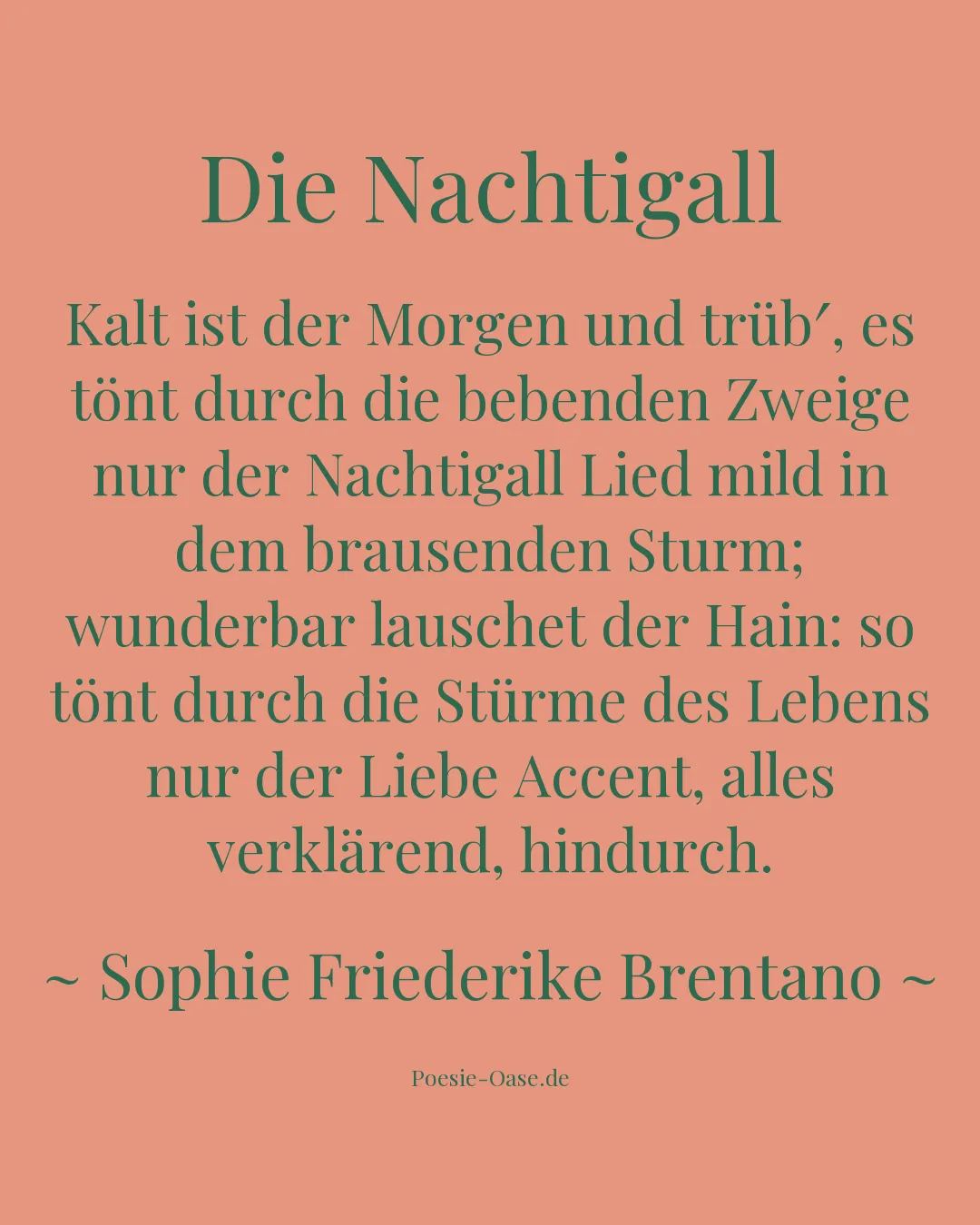 Illustration zu Die Nachtigall