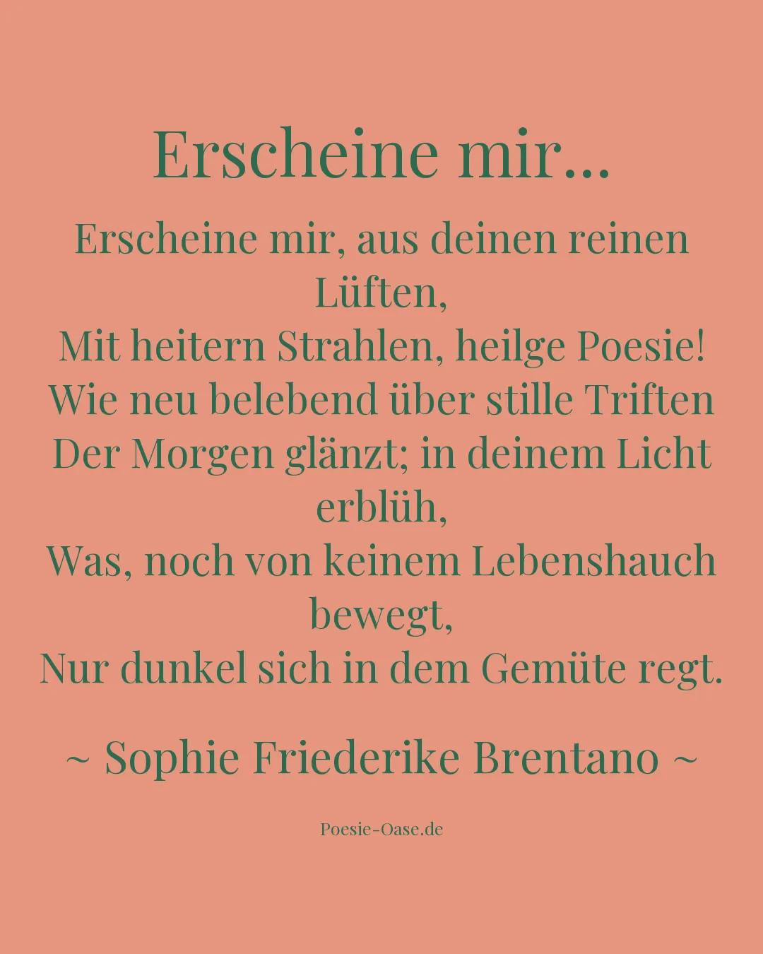 Illustration zu Erscheine mir...