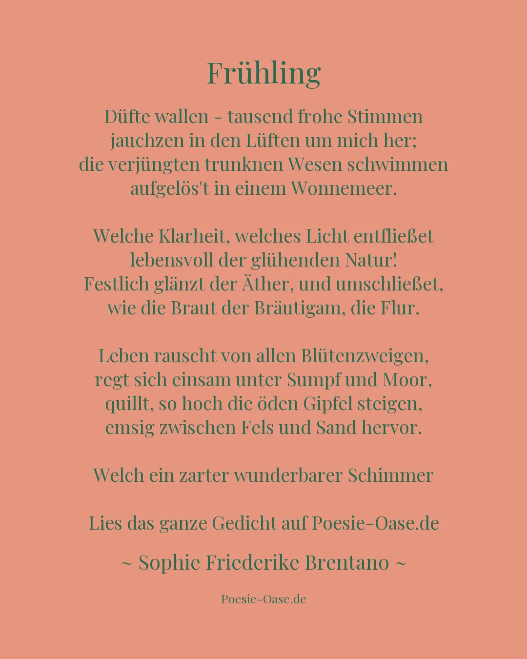 Illustration zu Frühling