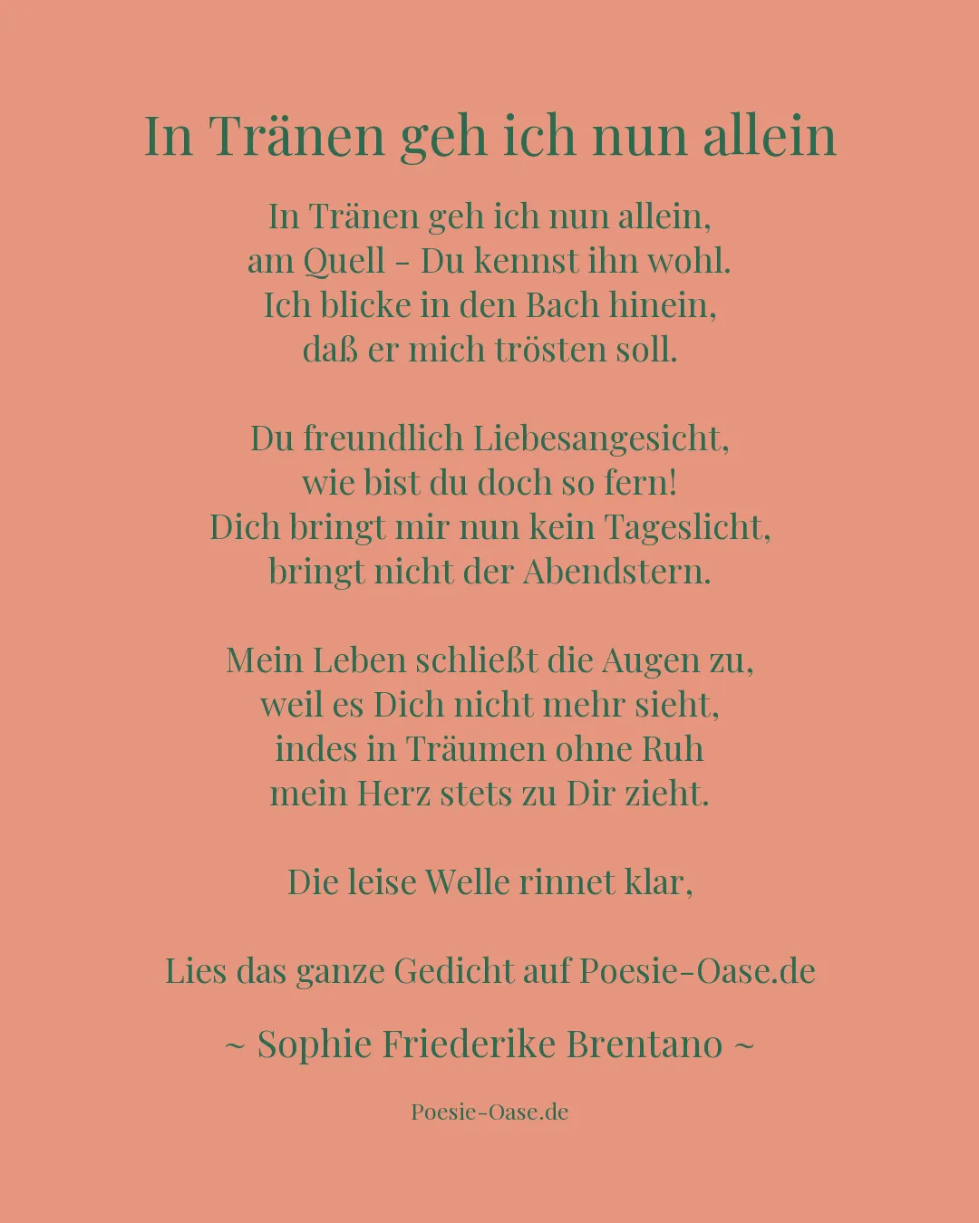 Illustration zu In Tränen geh ich nun allein