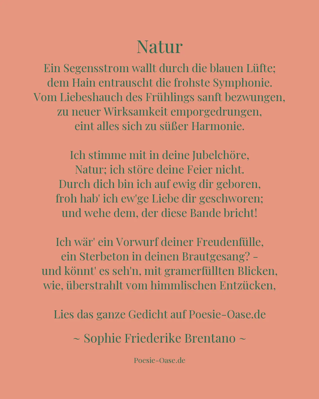 Illustration zu Natur