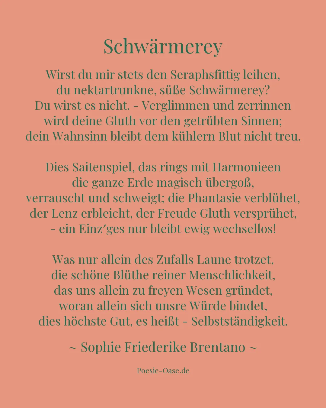Illustration zu Schwärmerey