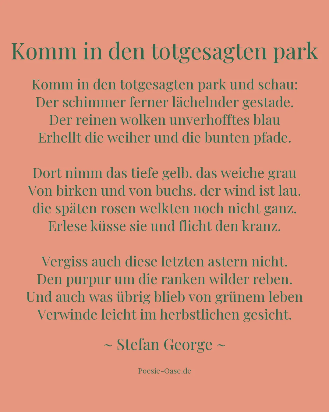 Illustration zu Komm in den totgesagten park
