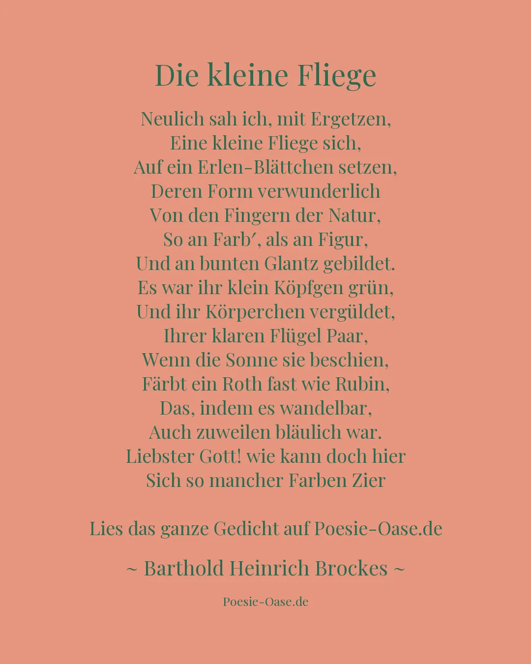 Illustration zu Die kleine Fliege