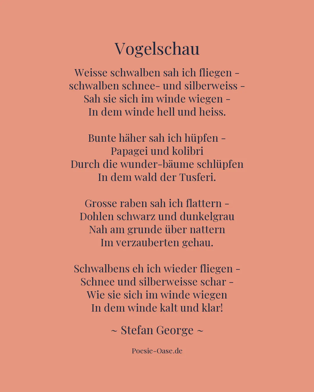 Illustration zu Vogelschau