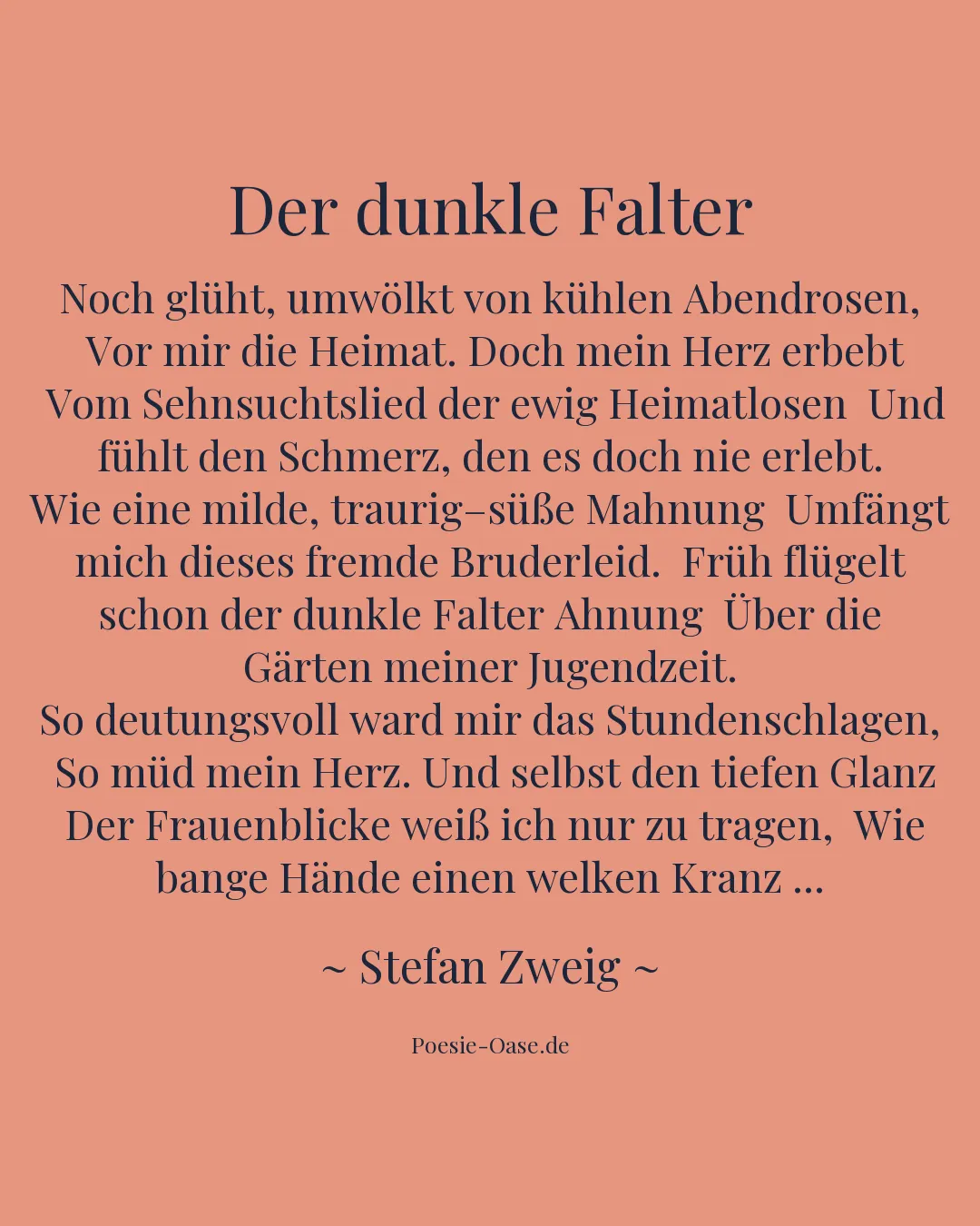 Illustration zu Der dunkle Falter
