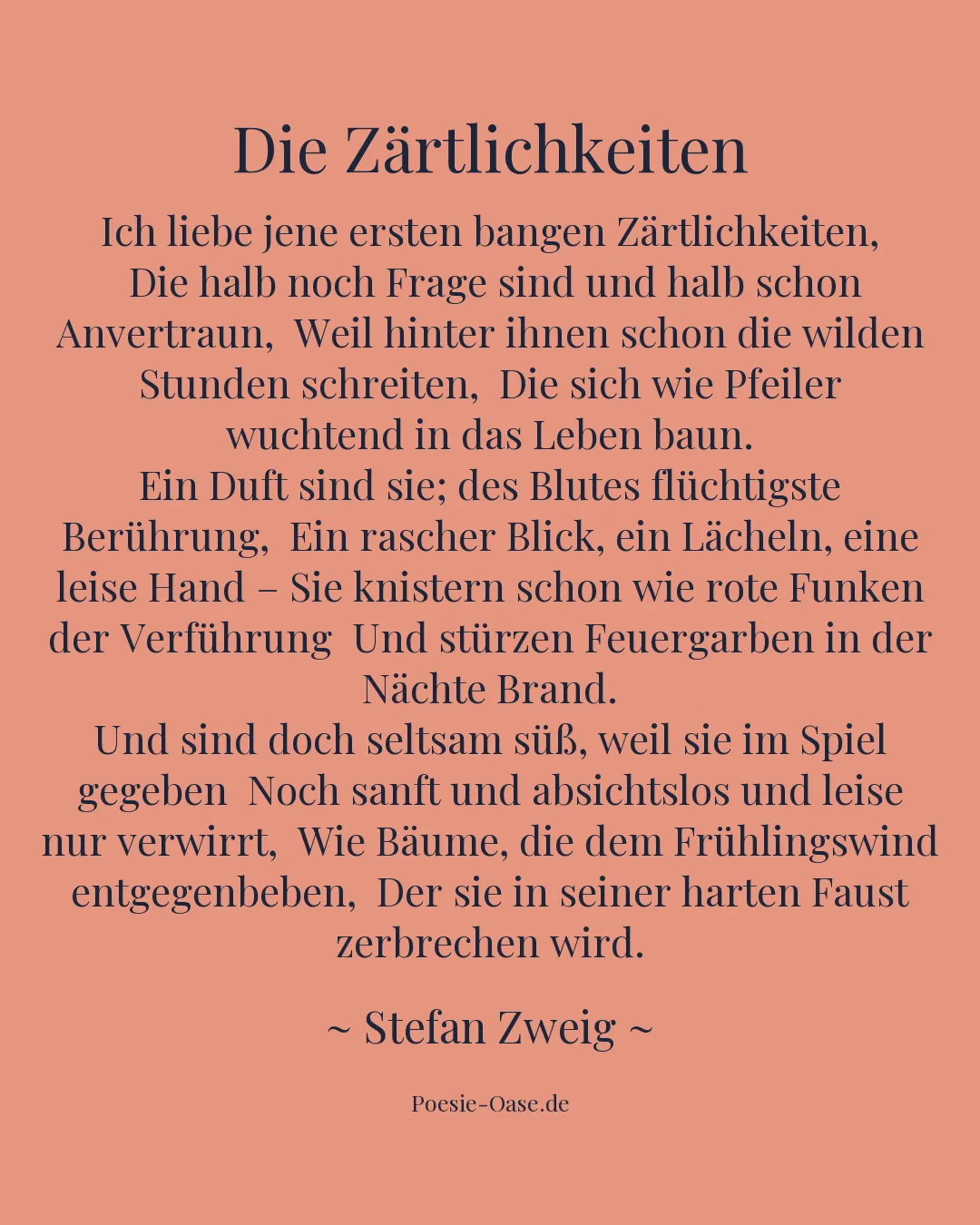 Illustration zu Die Zärtlichkeiten