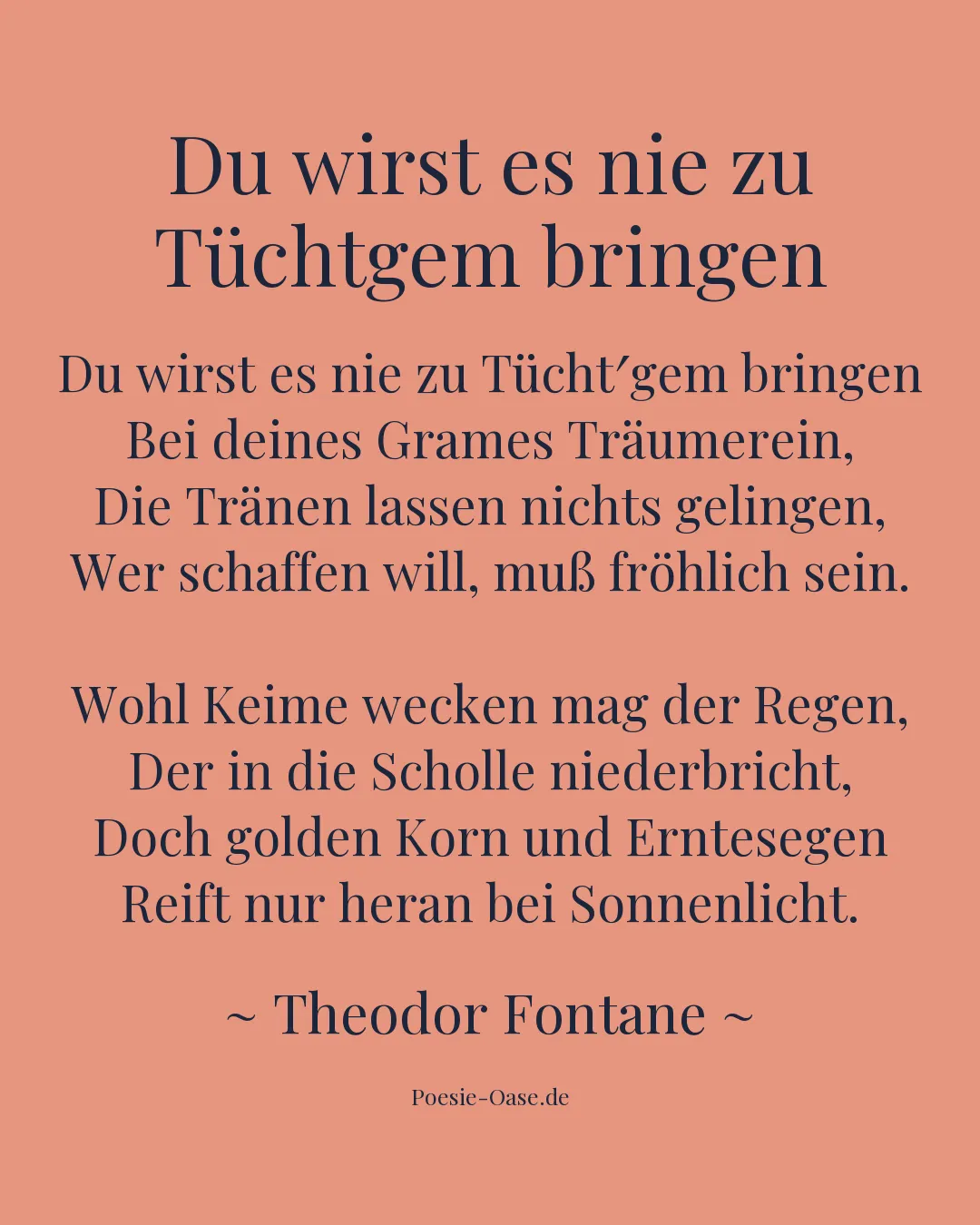 Illustration zu Du wirst es nie zu Tüchtgem bringen