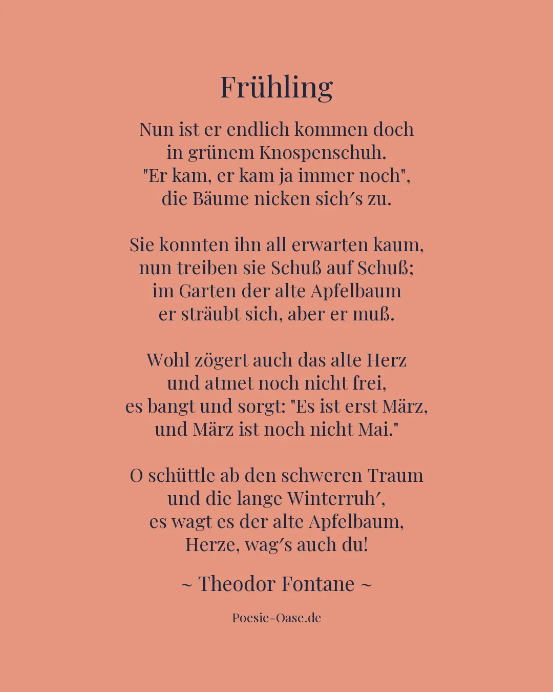 Illustration zu Frühling