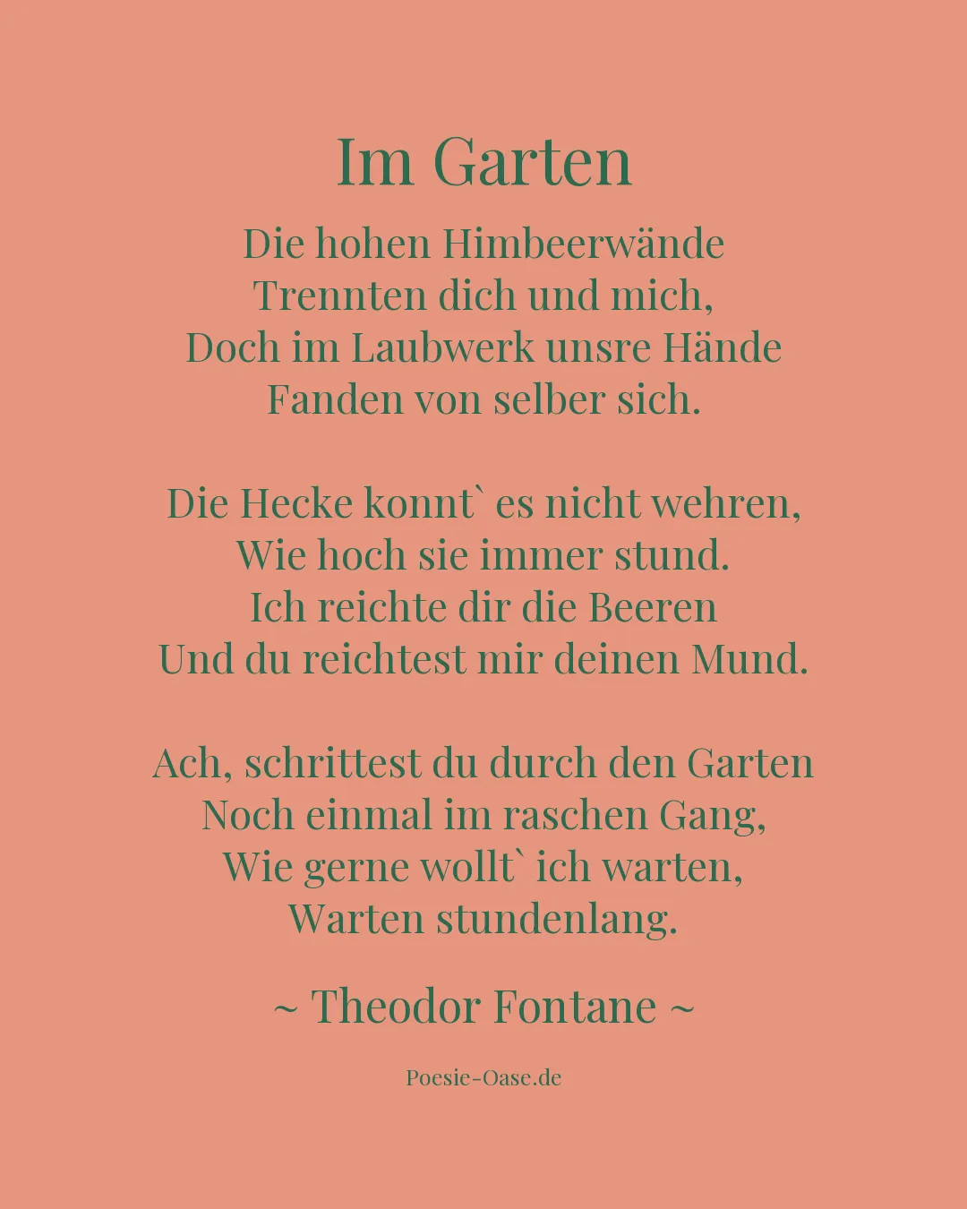 Illustration zu Im Garten