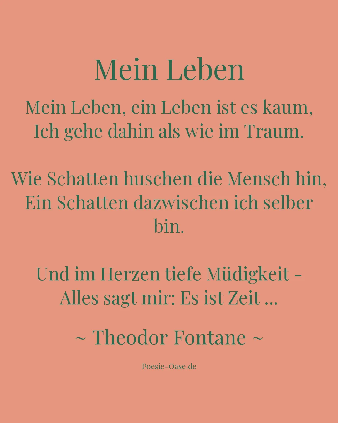 Illustration zu Mein Leben