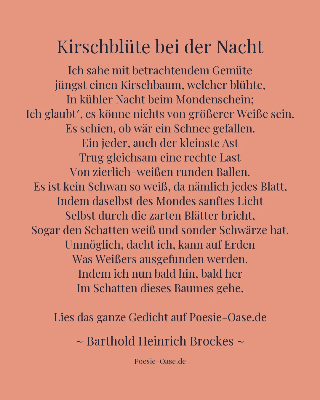 Illustration zu Kirschblüte bei der Nacht