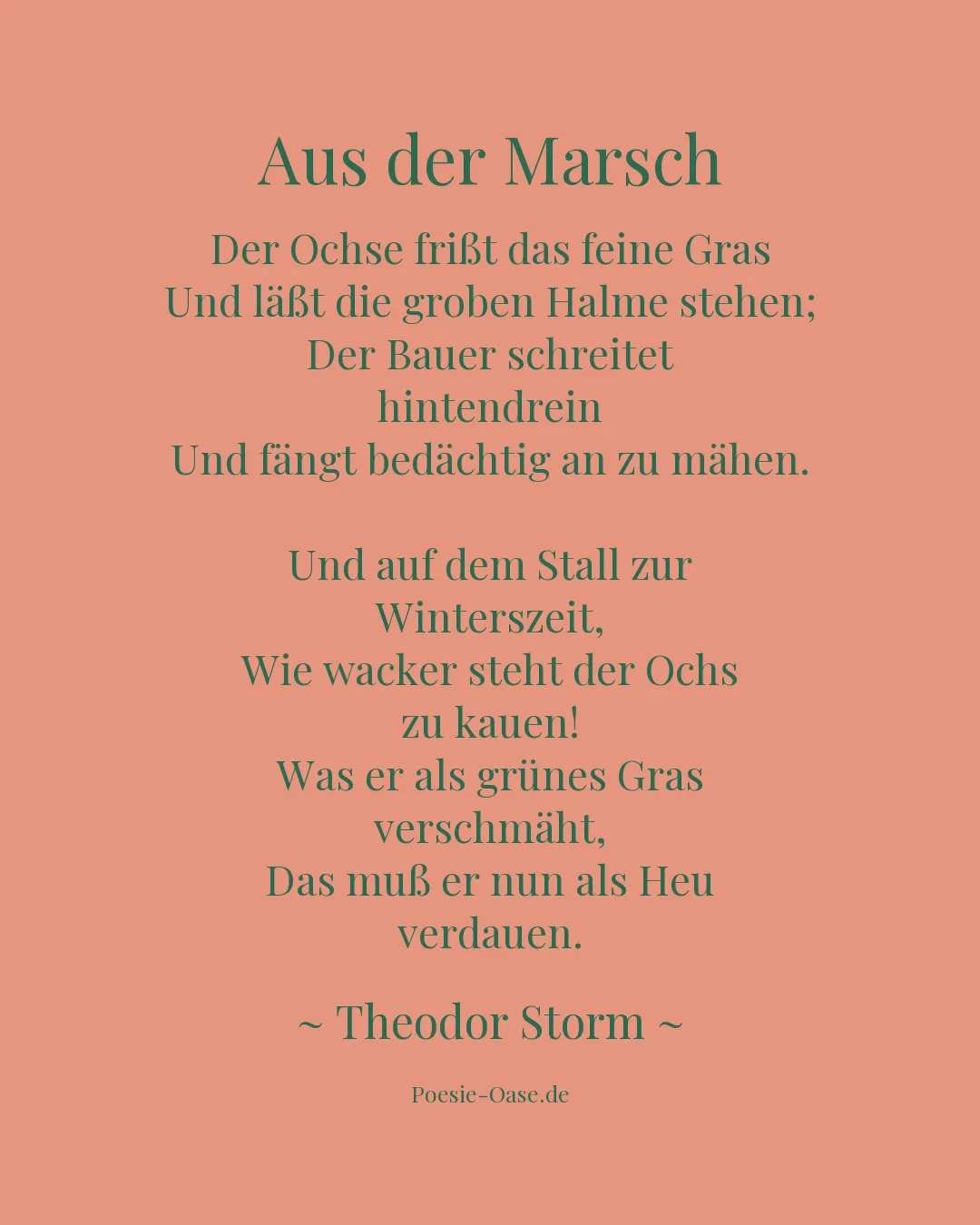 Illustration zu Aus der Marsch