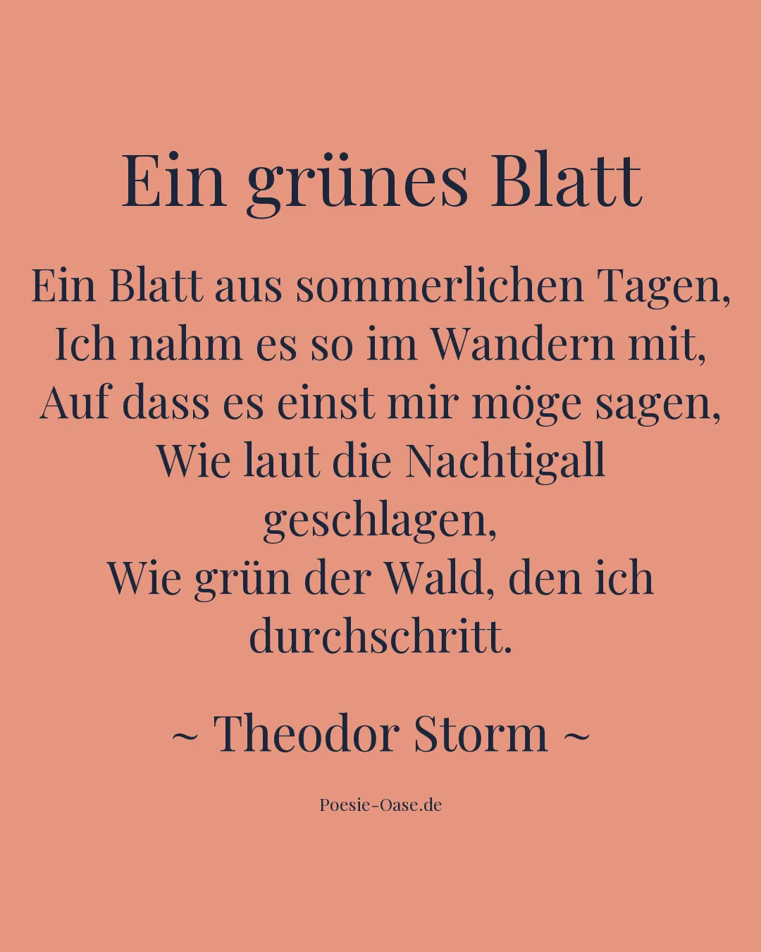 Illustration zu Ein grünes Blatt
