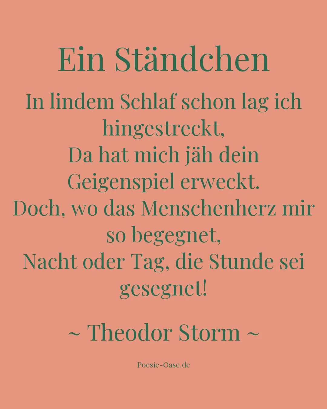 Illustration zu Ein Ständchen