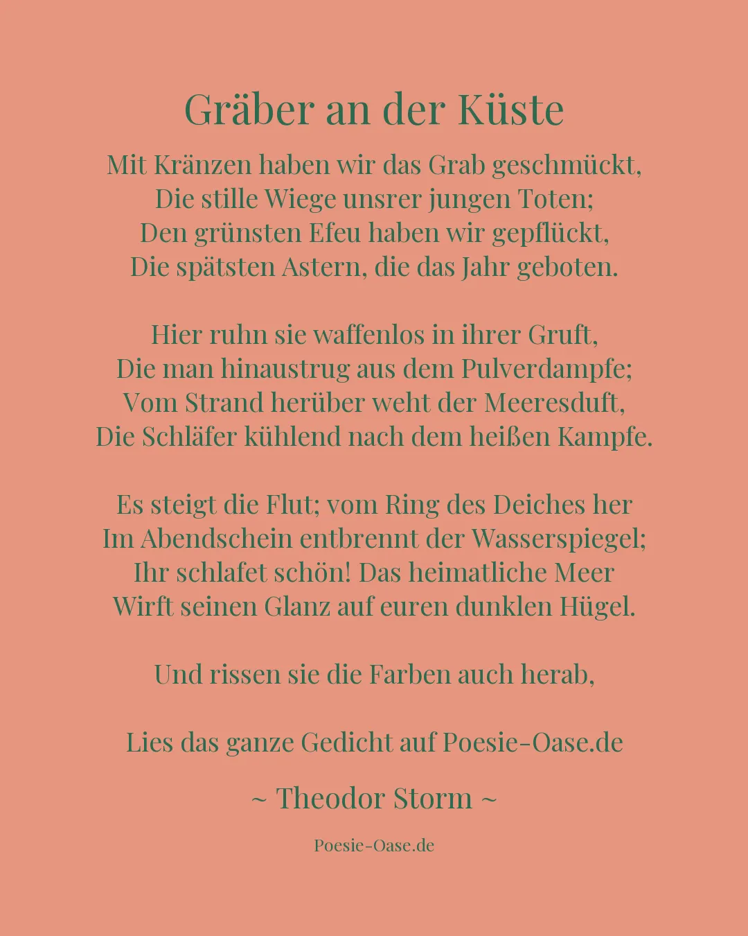 Illustration zu Gräber an der Küste