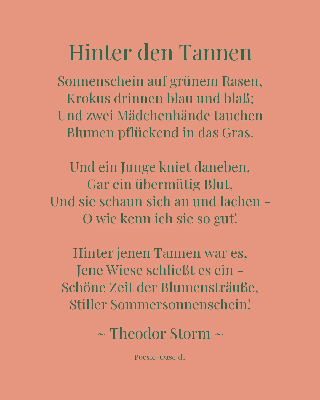 Illustration zu Hinter den Tannen