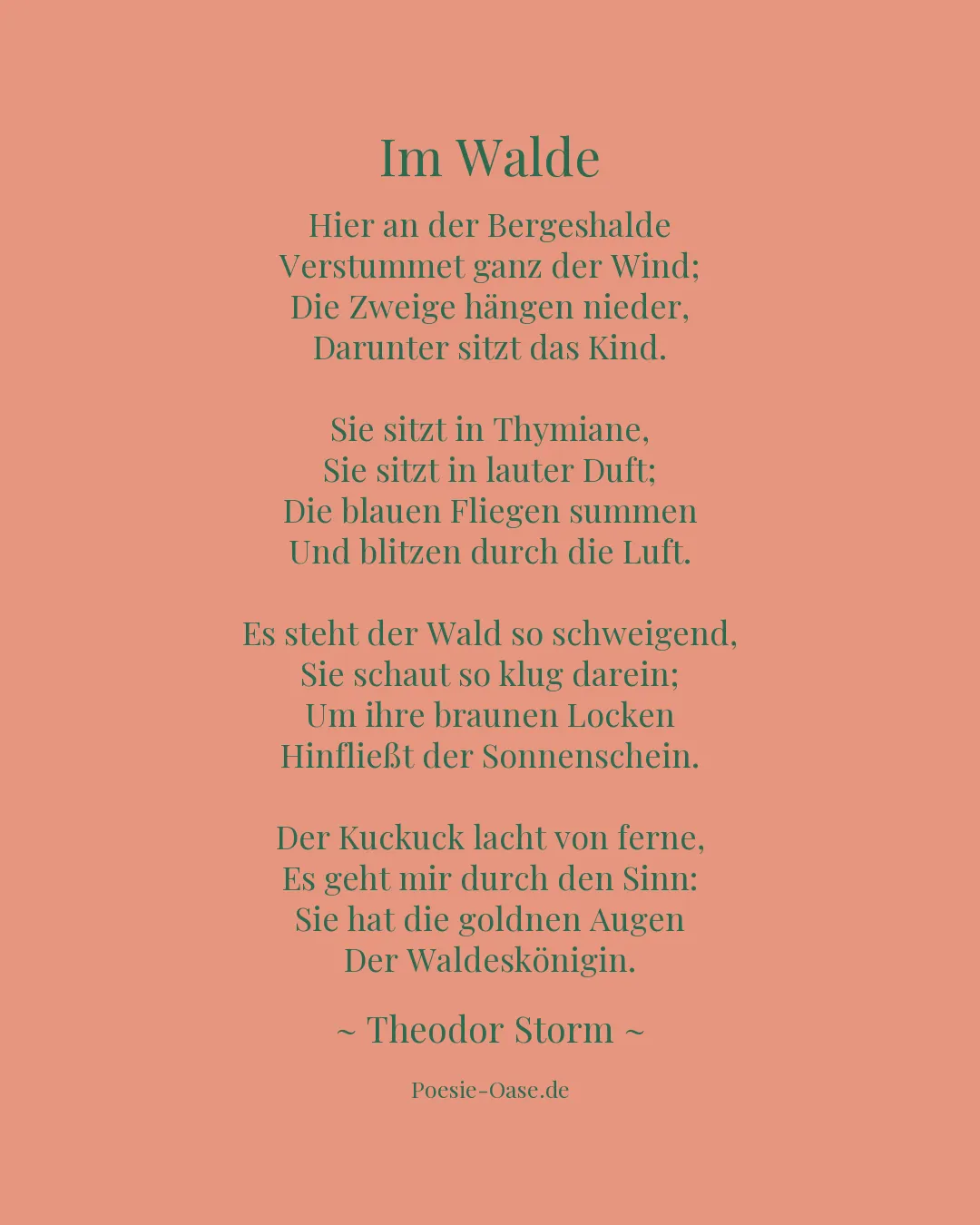Illustration zu Im Walde