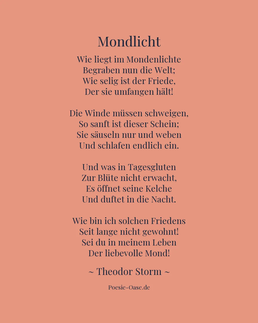 Illustration zu Mondlicht