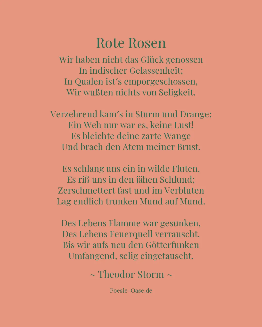 Illustration zu Rote Rosen