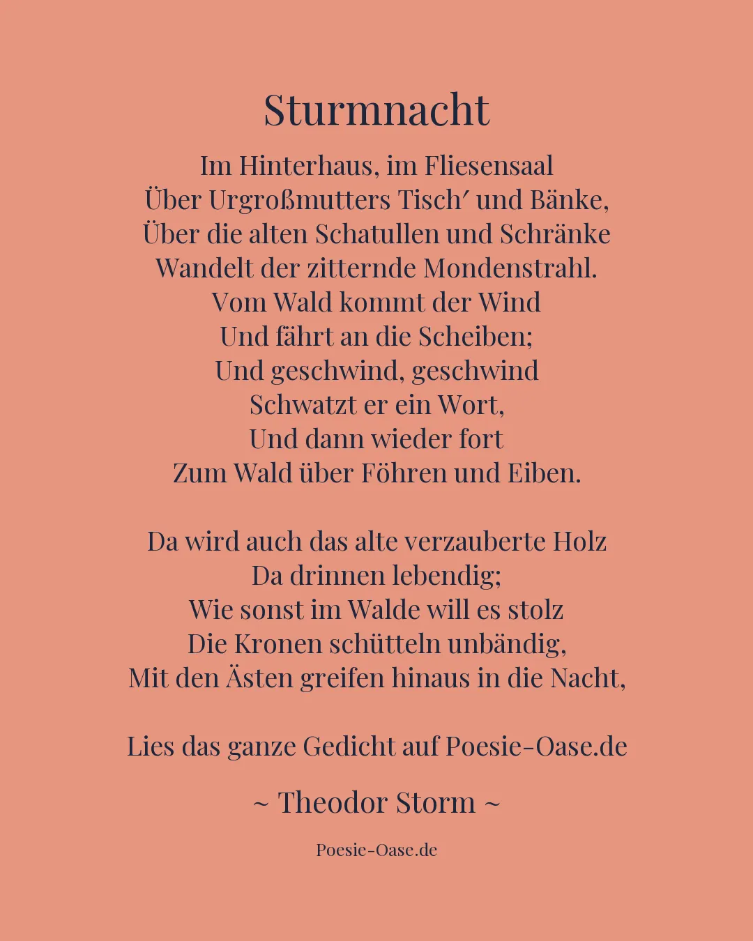 Illustration zu Sturmnacht