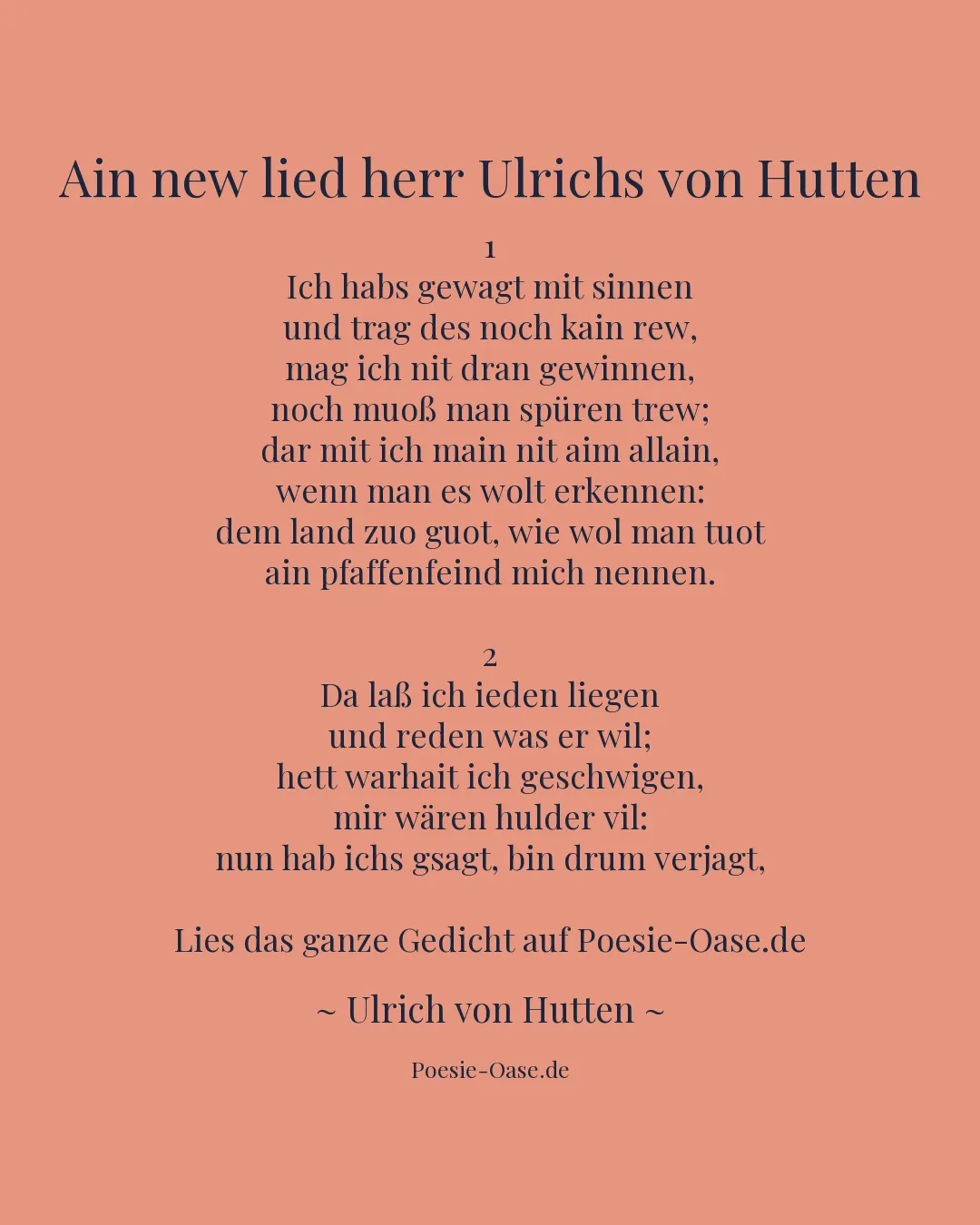 Illustration zu Ain new lied herr Ulrichs von Hutten