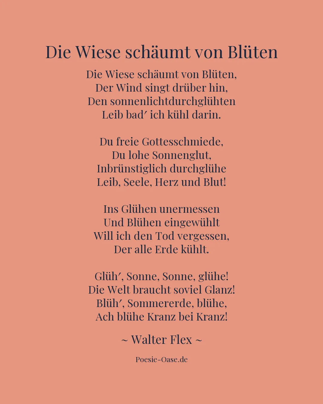 Illustration zu Die Wiese schäumt von Blüten