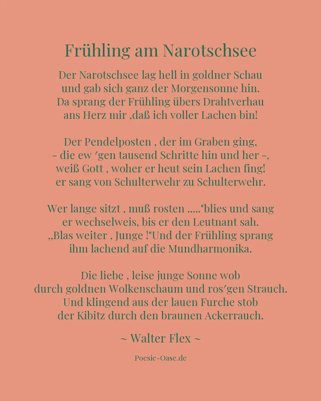Illustration zu Frühling am Narotschsee
