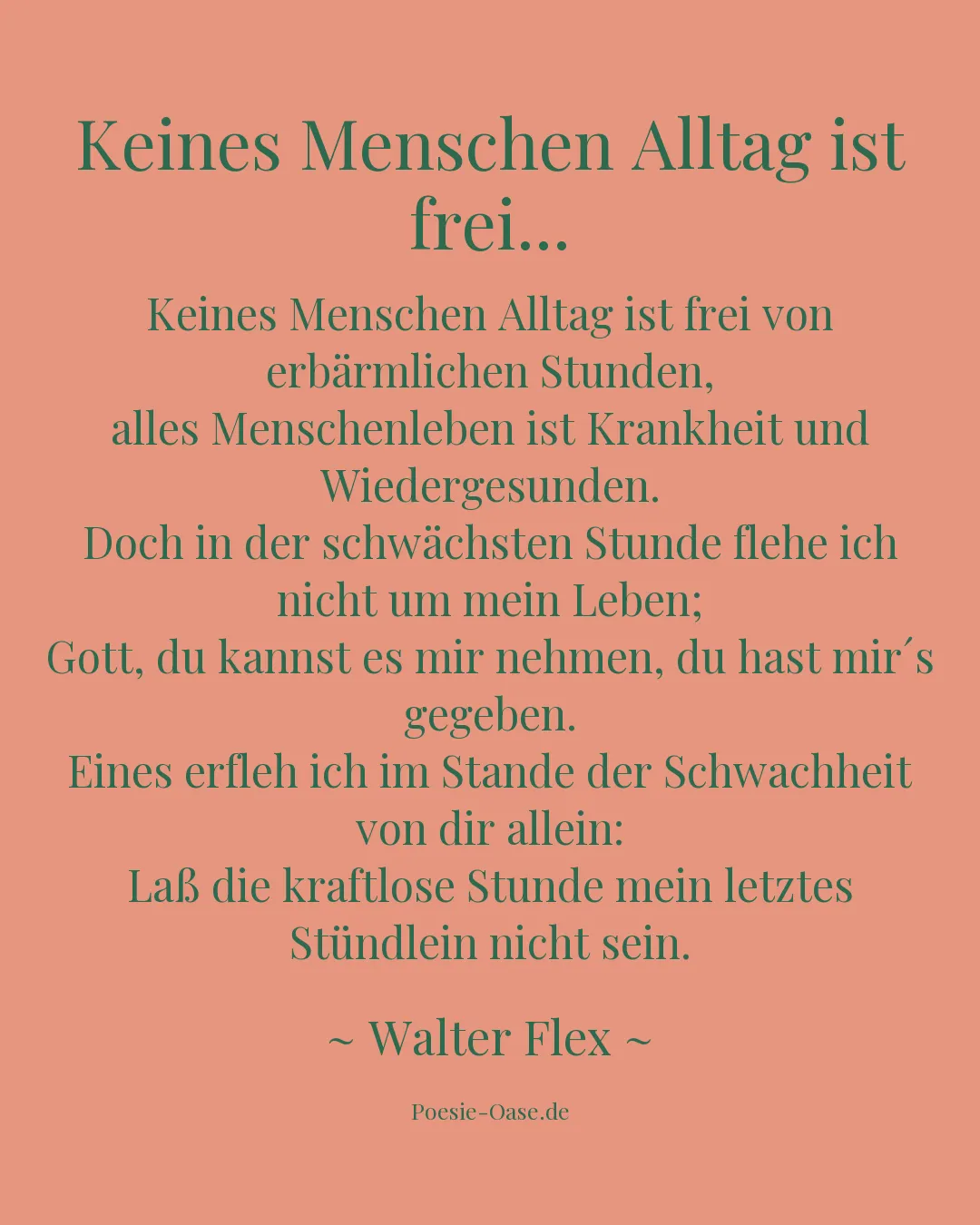 Illustration zu Keines Menschen Alltag ist frei...