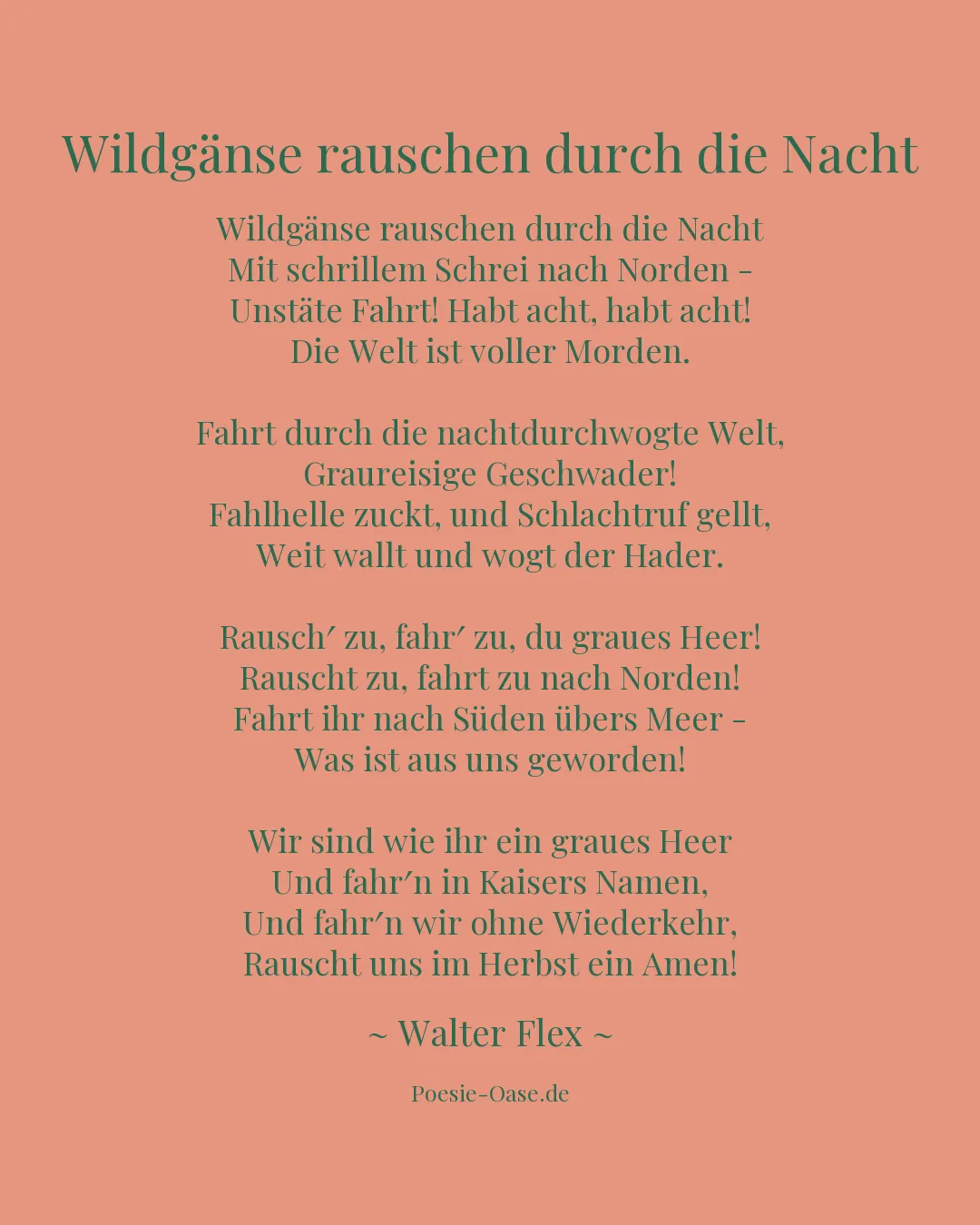 Illustration zu Wildgänse rauschen durch die Nacht