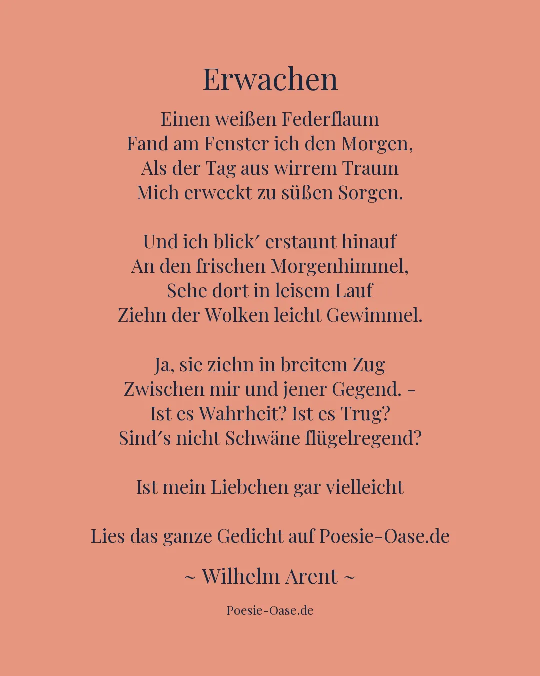 Illustration zu Erwachen