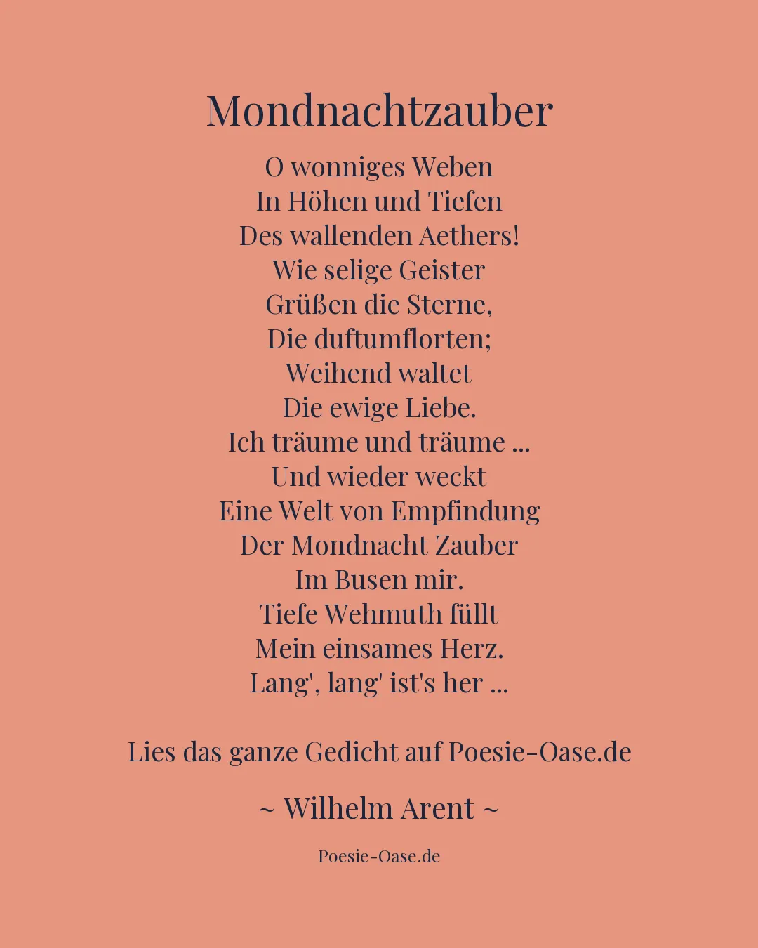 Illustration zu Mondnachtzauber