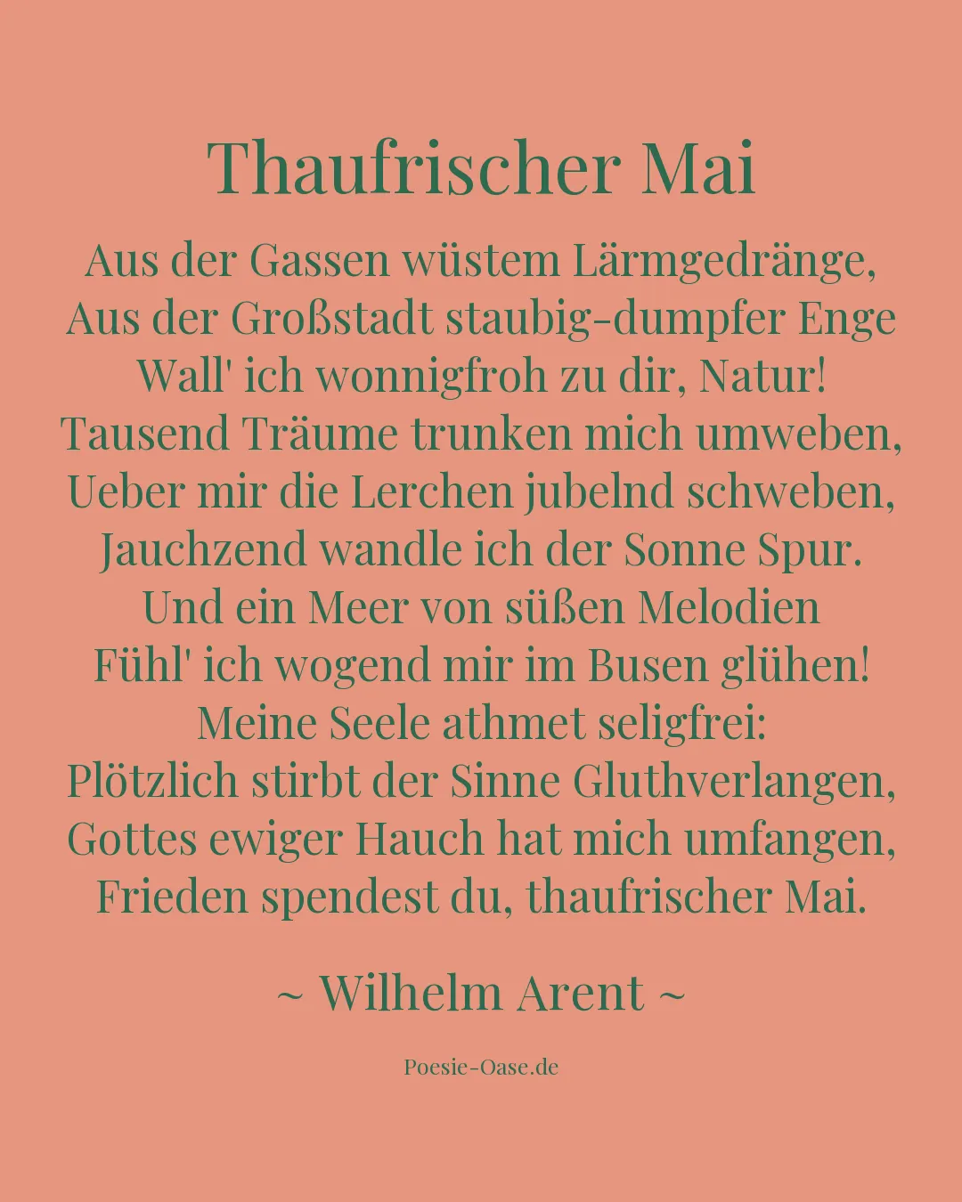 Illustration zu Thaufrischer Mai