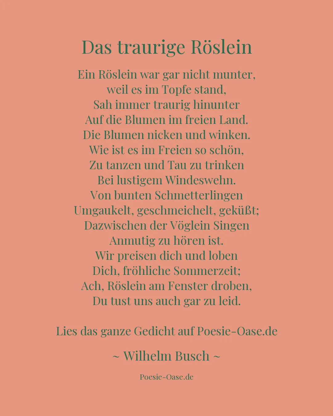 Illustration zu Das traurige Röslein