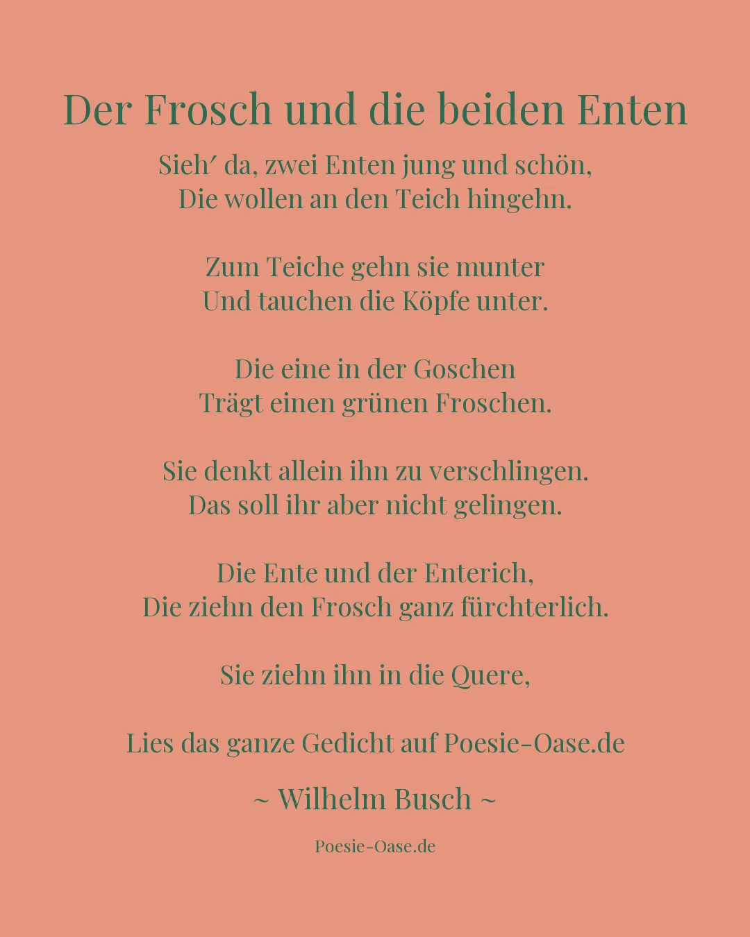 Illustration zu Der Frosch und die beiden Enten