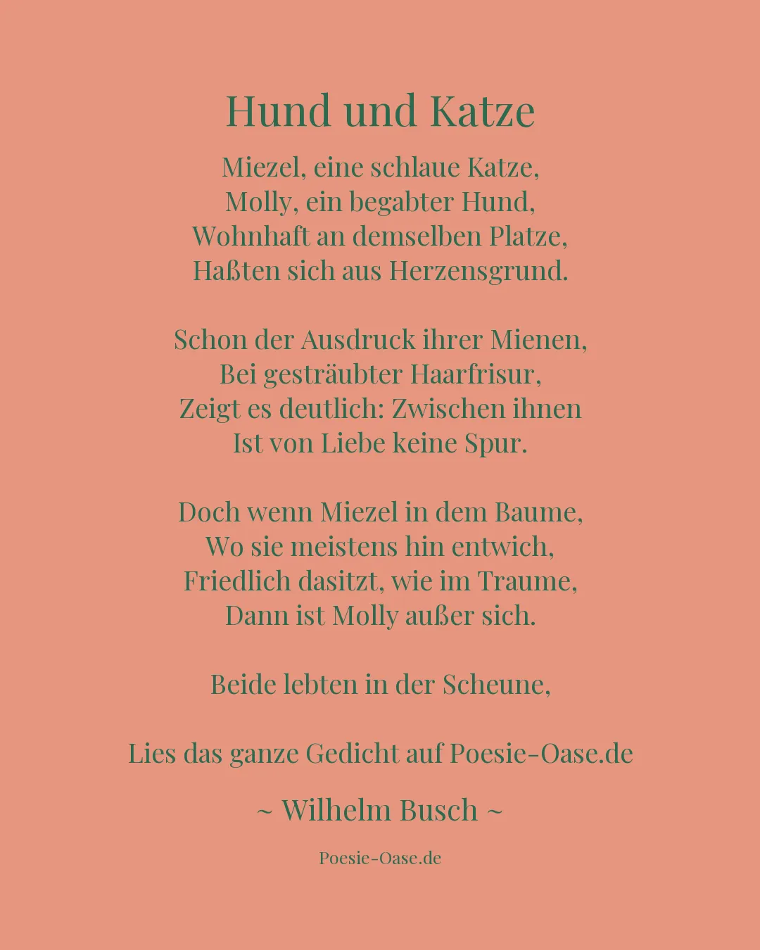 Illustration zu Hund und Katze