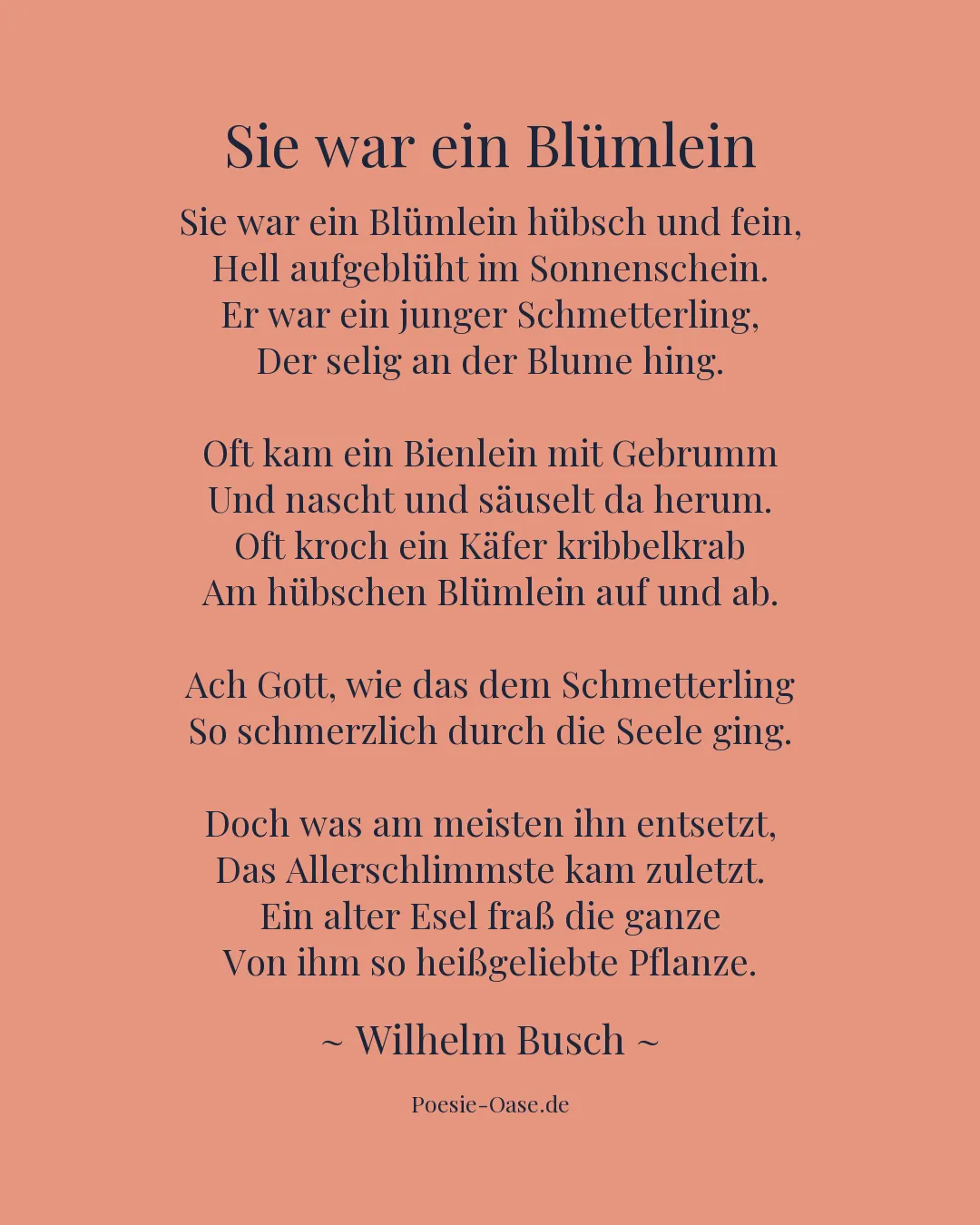 Illustration zu Sie war ein Blümlein