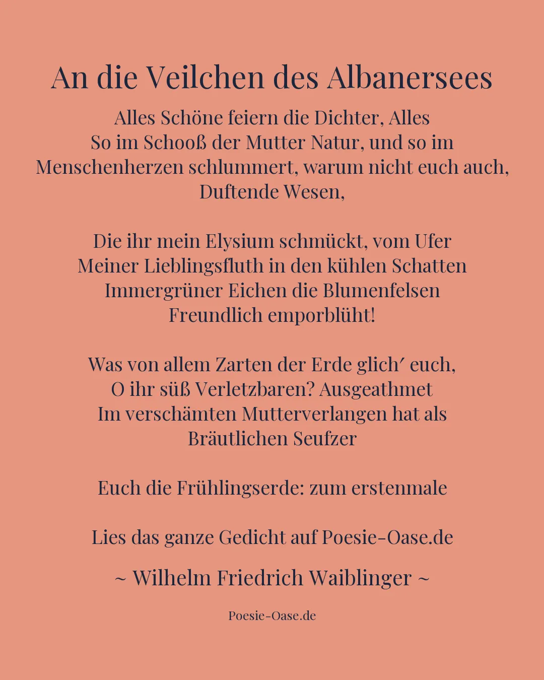 Illustration zu An die Veilchen des Albanersees