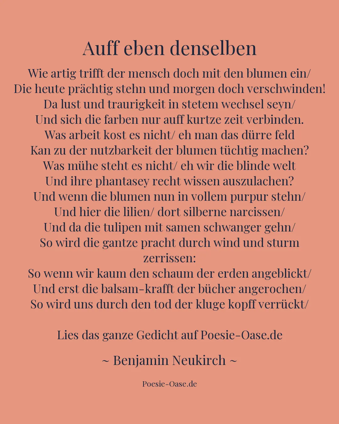 Illustration zu Auff eben denselben