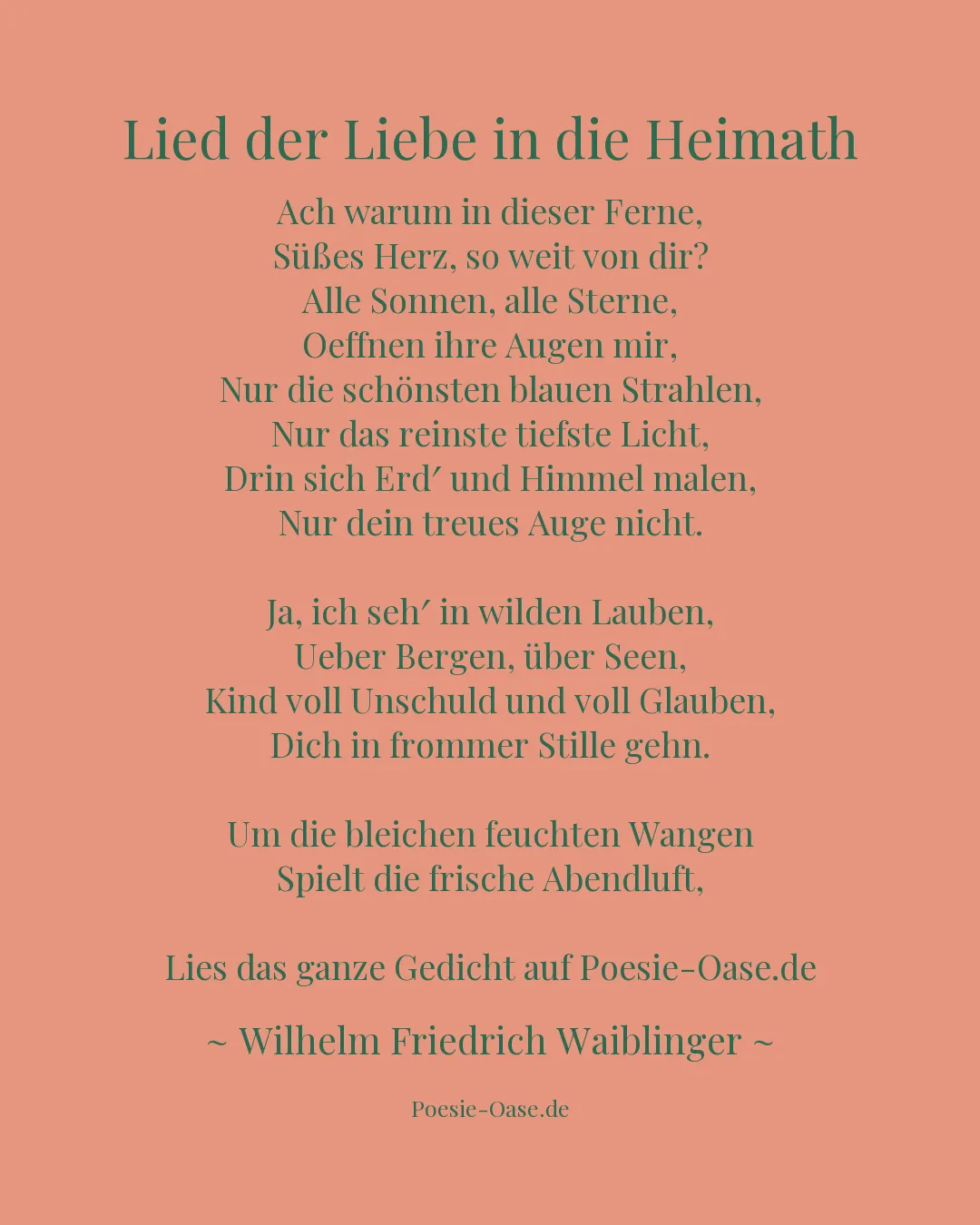 Illustration zu Lied der Liebe in die Heimath